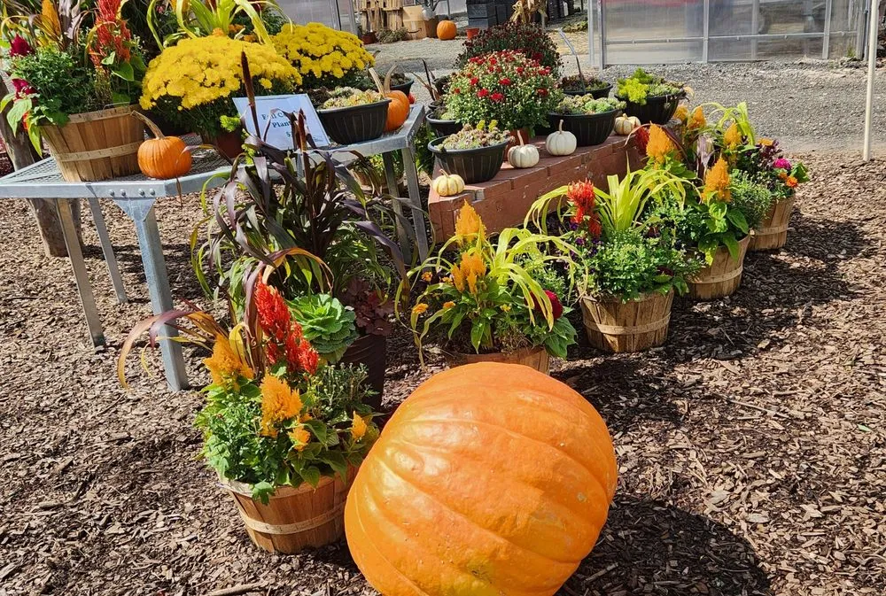 Custom yard maintenance experts serving Bloomfield, CT - The Green Machine