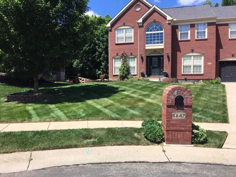 Professional yard cleanup service for year-round maintenance across Independence, KY - The Green Man Lawn & Landscaping