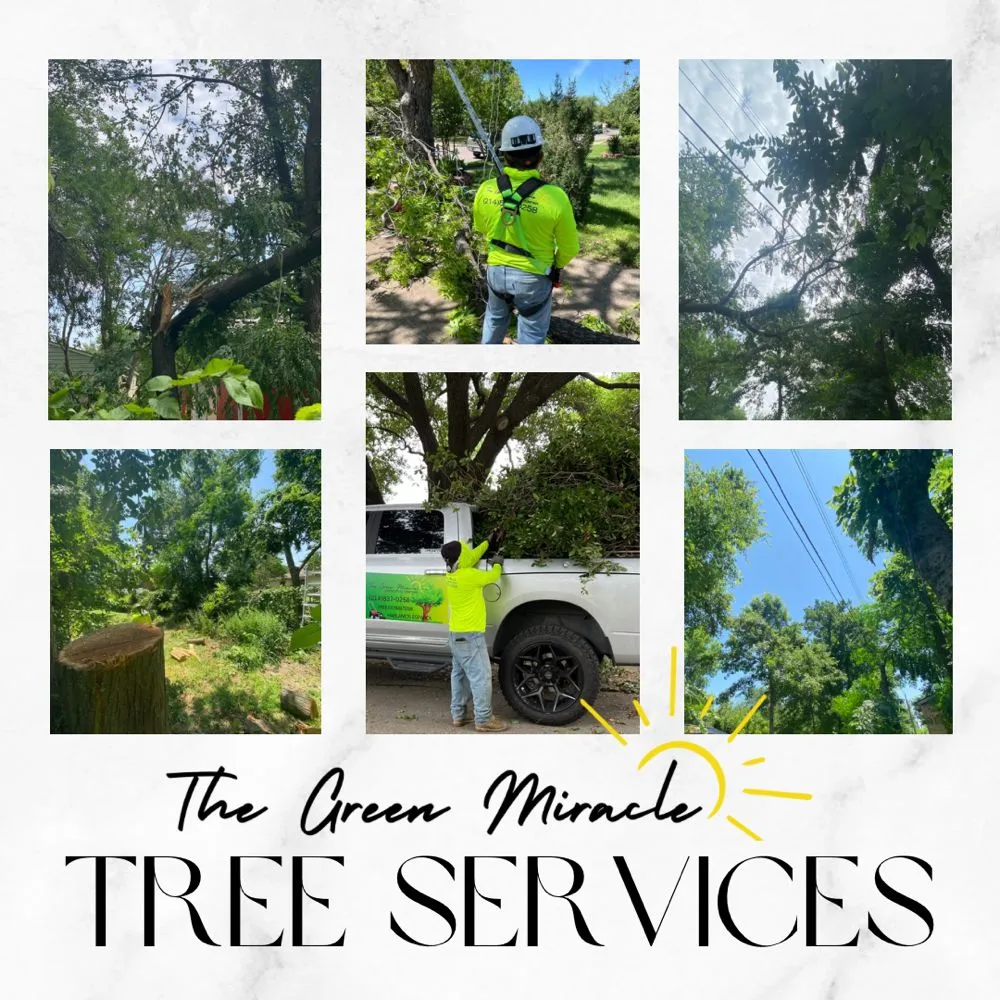 Top-rated outdoor landscaping with custom design in Irving, TX by The Green Miracle