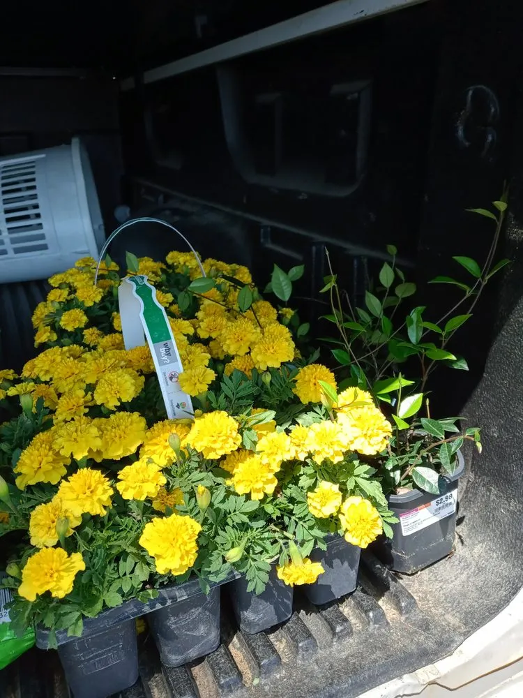 Custom yard maintenance in Forest Park, GA by The Green Phoenix Garden & Lawn