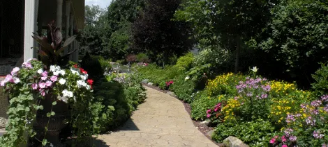 Reliable landscape installation experts serving Elmhurst Township, PA - The Green Scene