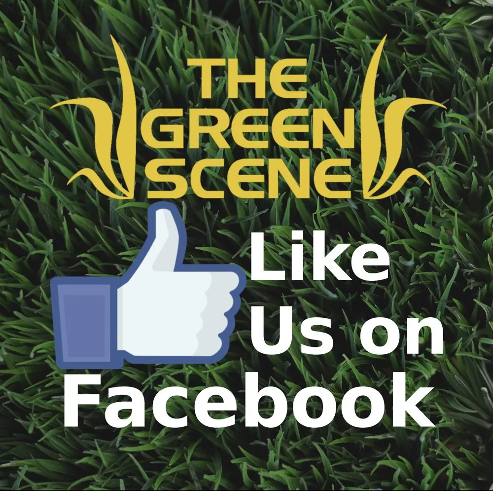 Top-rated landscaping services in Manchester, CT by The Green Scene