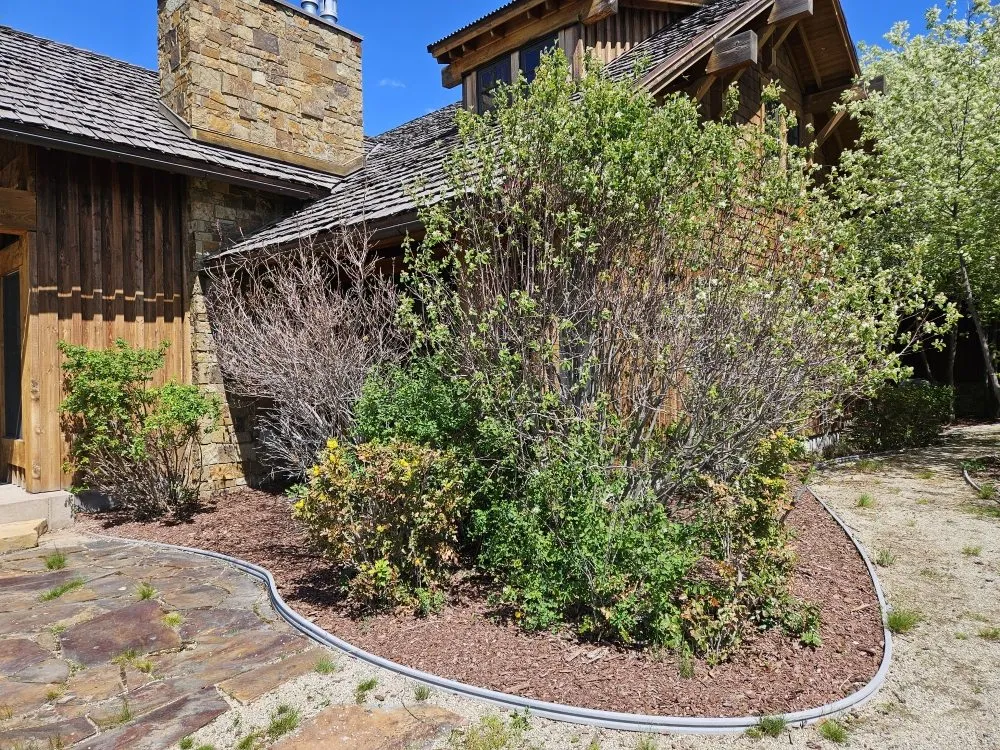 Top-rated outdoor landscaping in Missoula, MT by The Green Scene