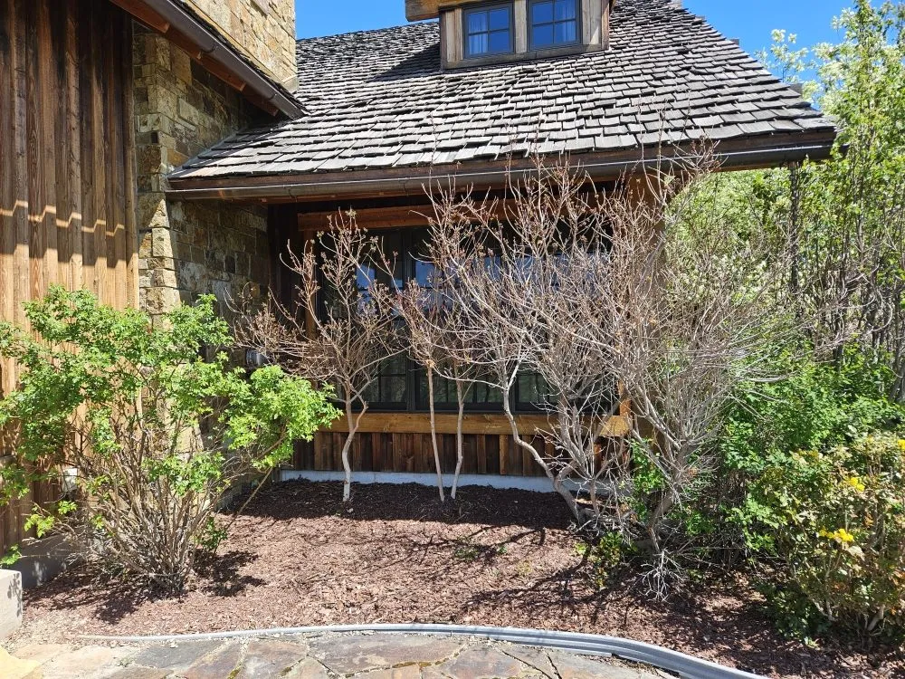 Local lawn care service for beautiful yards in Missoula, MT by The Green Scene