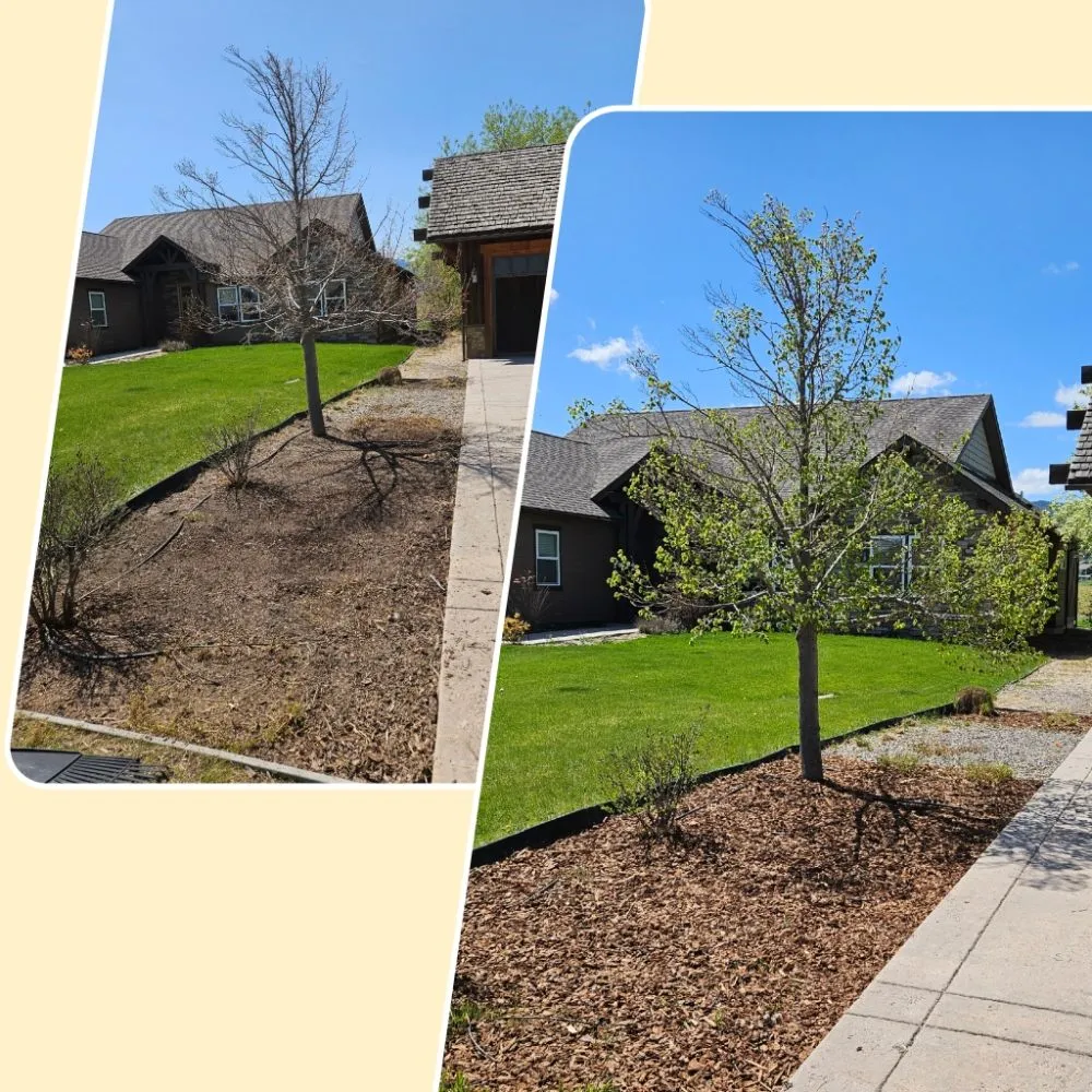 Professional outdoor landscaping for beautiful yards across Missoula, MT - The Green Scene