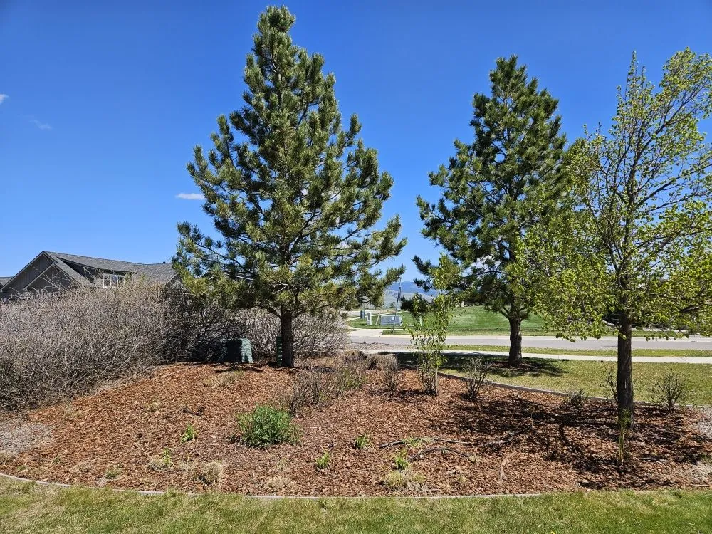 Top-rated residential landscaping in Missoula, MT by The Green Scene