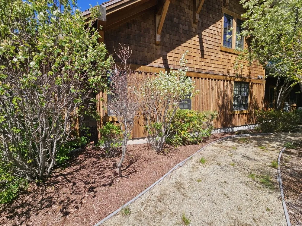 Reliable yard cleanup service for beautiful yards across Missoula, MT - The Green Scene