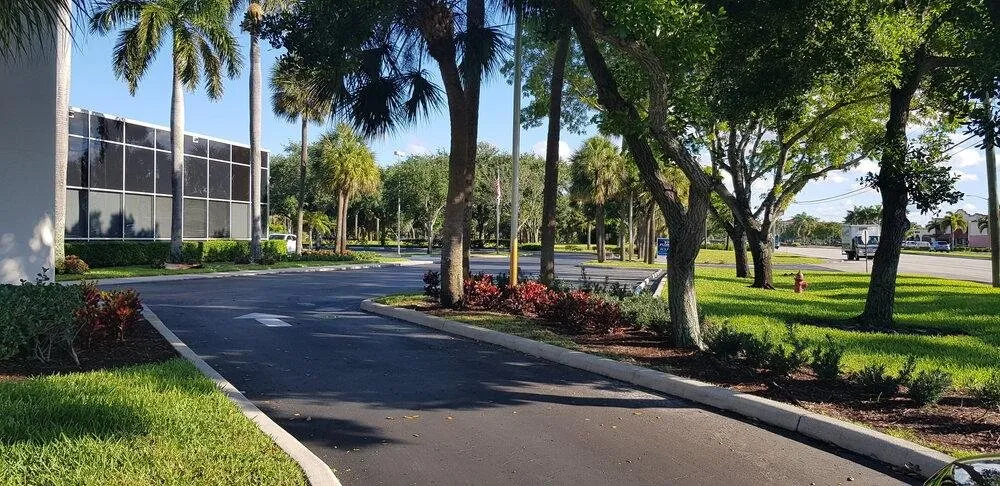 Top-rated outdoor landscaping in Greenacres, FL by The Green Shape