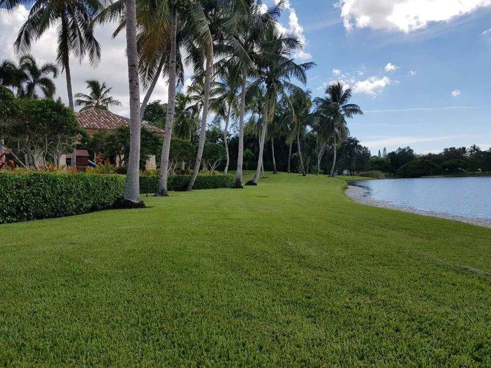 Reliable garden landscaping for outdoor upgrades across Greenacres, FL - The Green Shape