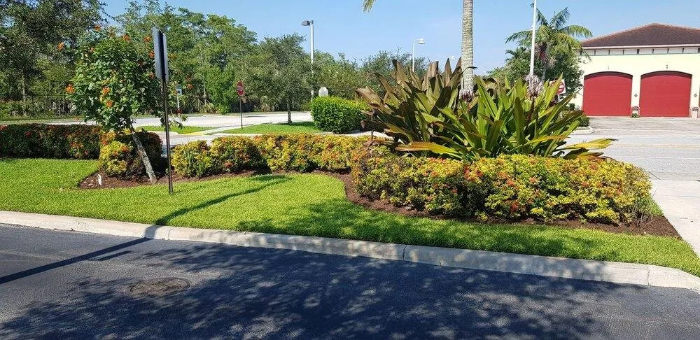 Professional yard maintenance in Greenacres, FL - The Green Shape