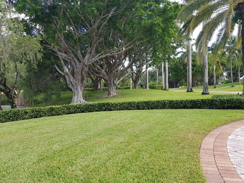 Top-rated landscape design for homes in Greenacres, FL by The Green Shape