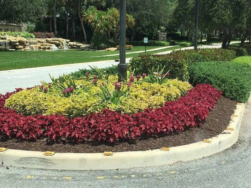 Custom landscaping services in Greenacres, FL - The Green Shape