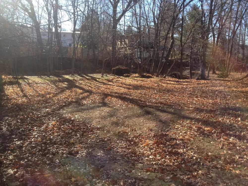 Local lawn care service in South Burlington, VT - The Green Side