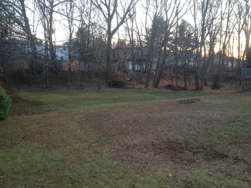 Professional landscape design in South Burlington, VT - The Green Side