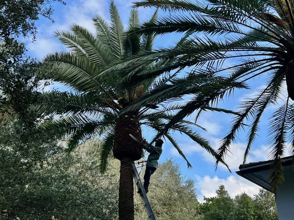 Custom landscape design experts serving Miami, FL - The Green Standard