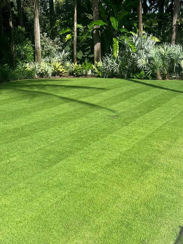 Professional yard maintenance in Miami, FL - The Green Standard