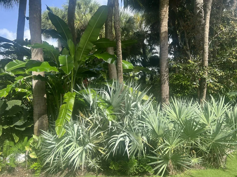 Expert residential landscaping experts serving Miami, FL - The Green Standard