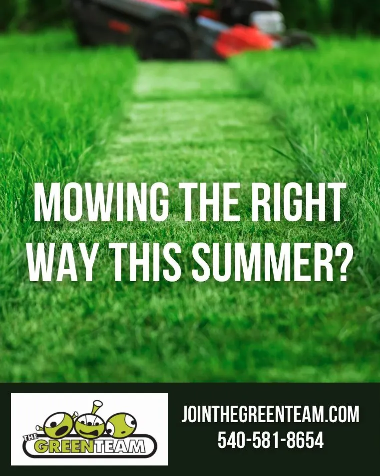 Trusted residential landscaping in Greensboro, NC by The Green Team