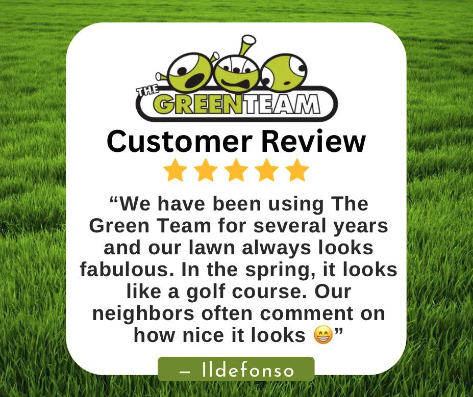 Affordable residential landscaping near you across Greensboro, NC - The Green Team