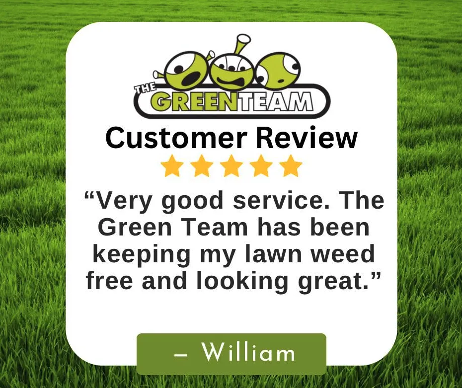 Professional yard cleanup service for beautiful yards across Greensboro, NC - The Green Team