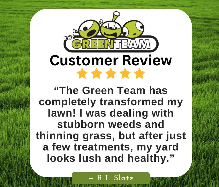 Affordable garden landscaping experts serving Greensboro, NC - The Green Team