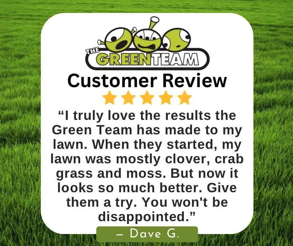 Custom garden landscaping experts serving Greensboro, NC - The Green Team