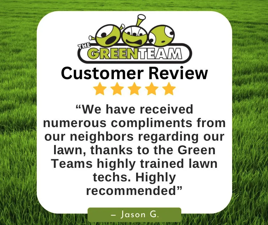 Top-rated garden landscaping with custom design in Greensboro, NC by The Green Team