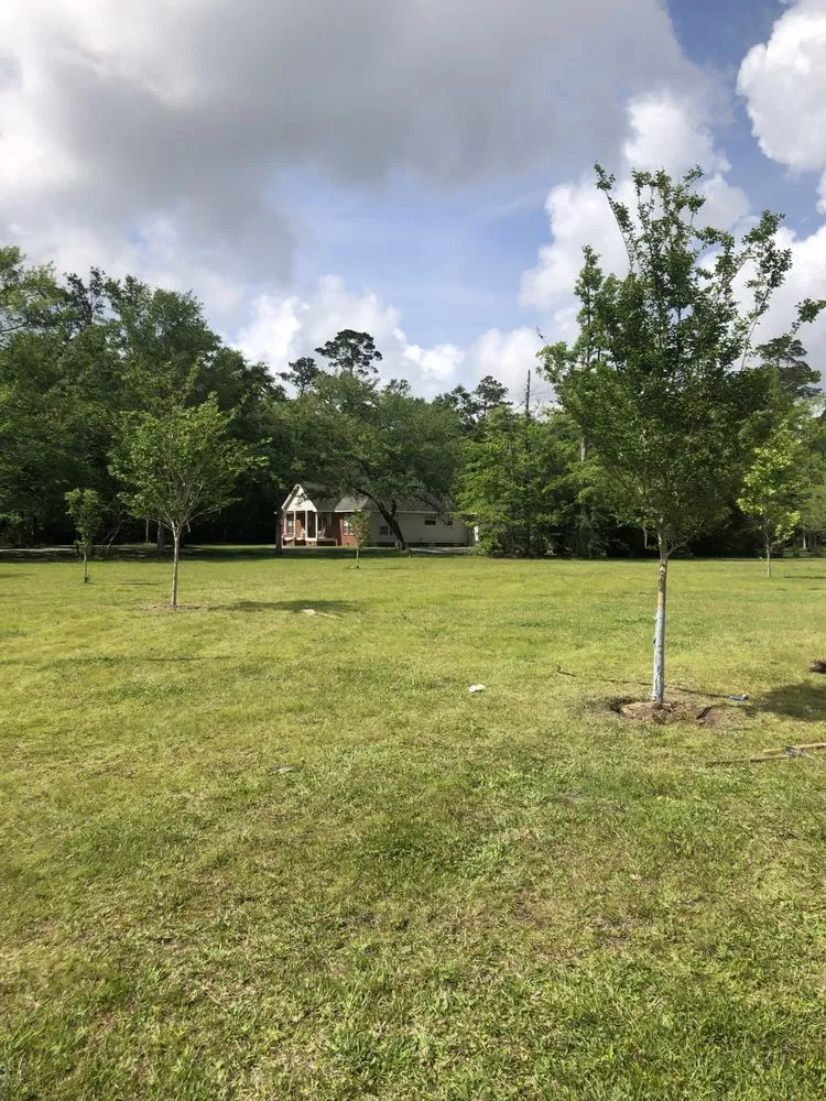 Custom residential landscaping in Lacombe, LA - The Green Team