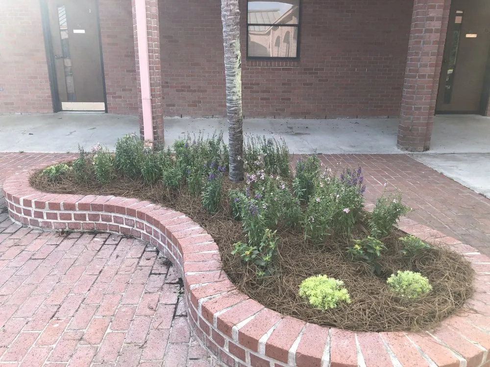 Professional lawn mowing service for year-round maintenance in Lacombe, LA by The Green Team