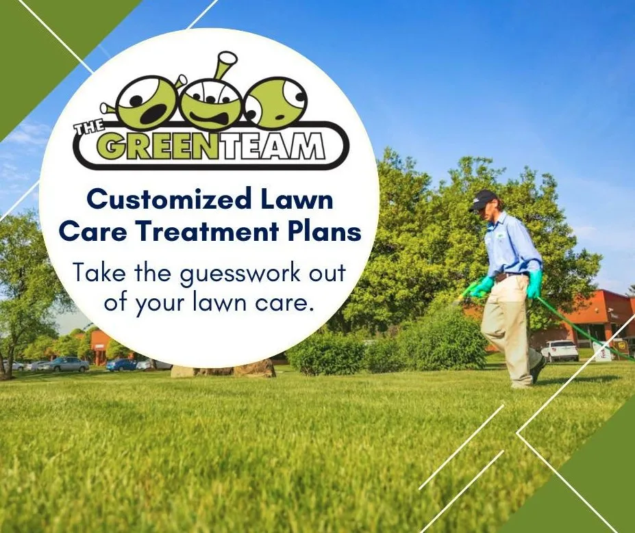 Expert landscape design for residential properties across Matthews, NC - The Green Team