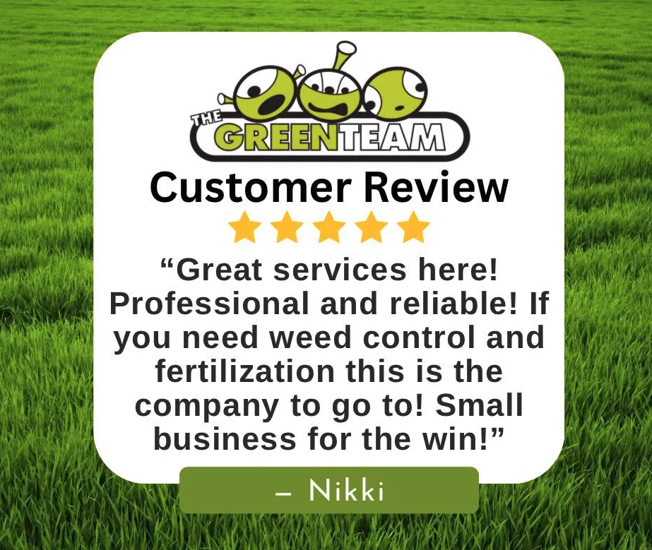 Professional landscape installation experts serving Matthews, NC - The Green Team