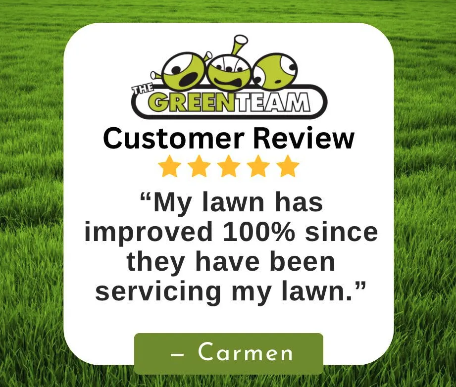 Professional lawn care service in Matthews, NC - The Green Team