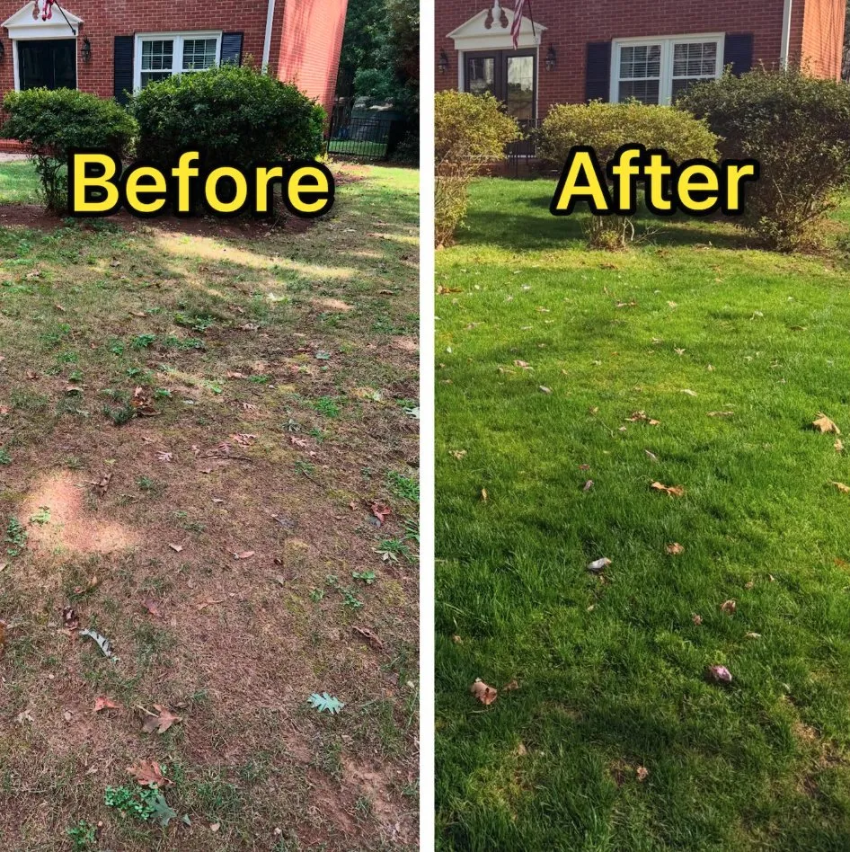 Top-rated landscaping services in Matthews, NC - The Green Team