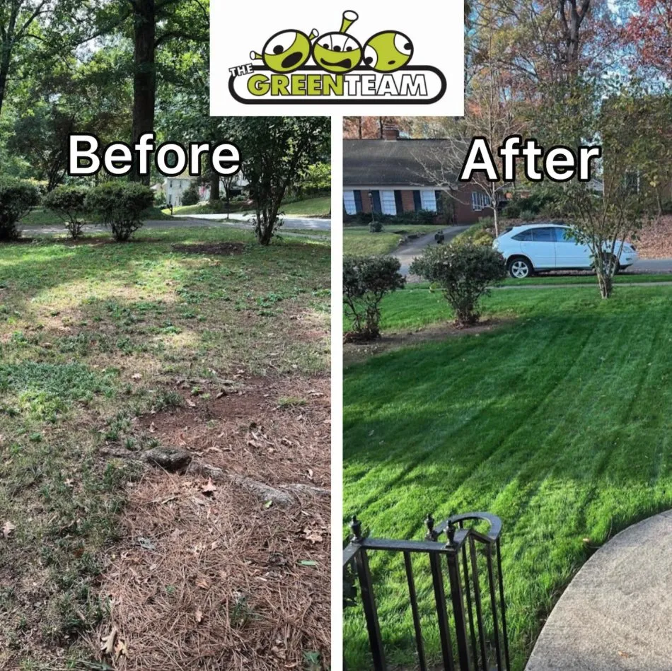 Custom landscape installation for year-round maintenance across Matthews, NC - The Green Team
