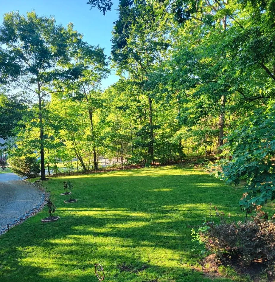 Trusted landscape installation for homes in Matthews, NC by The Green Team