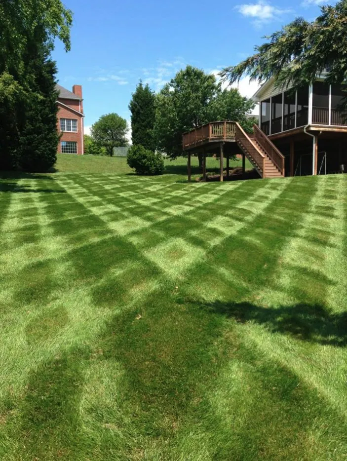 Local yard maintenance in Matthews, NC - The Green Team