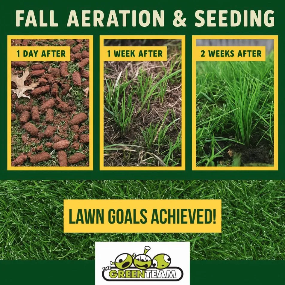 Professional lawn mowing service in Roanoke, VA by The Green Team