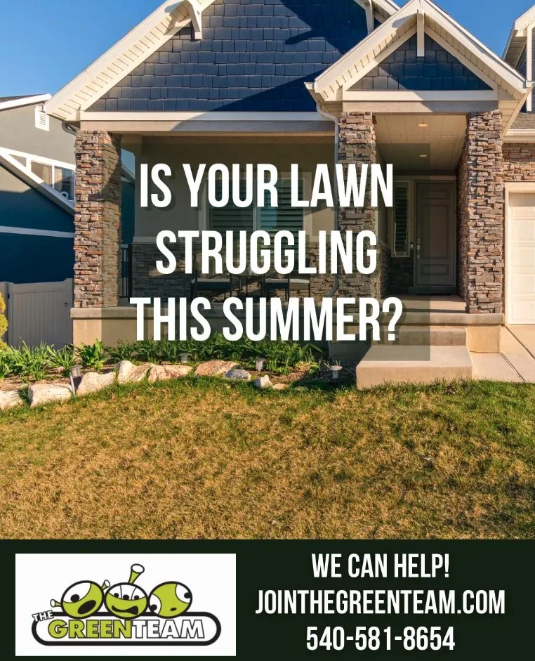 Affordable yard maintenance in Roanoke, VA by The Green Team