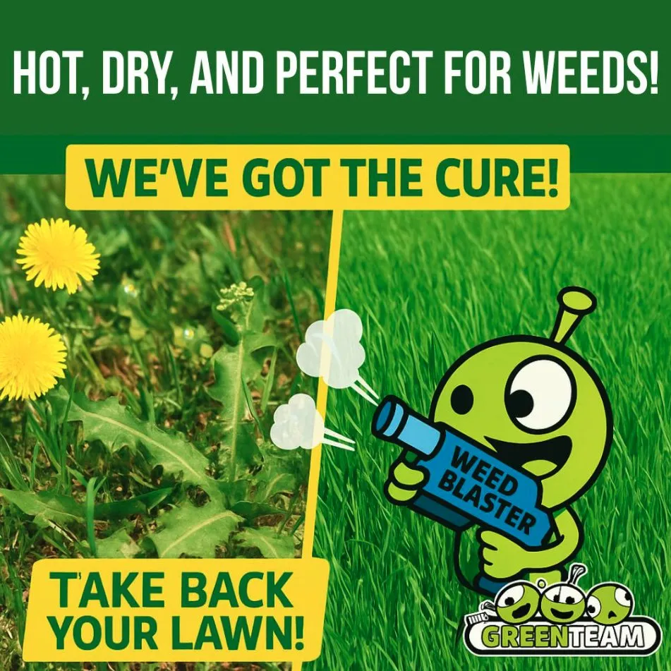 Affordable lawn care service in Roanoke, VA - The Green Team