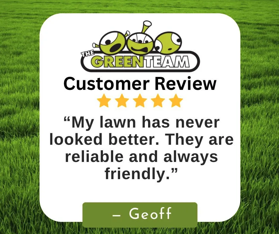 Trusted lawn care service in Roanoke, VA - The Green Team