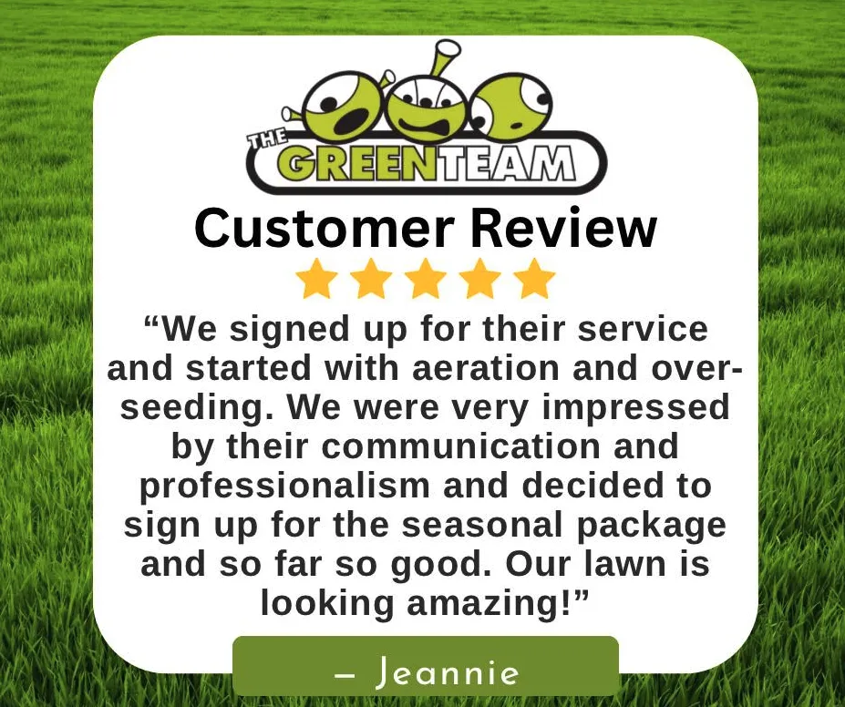 Custom residential landscaping in Roanoke, VA - The Green Team