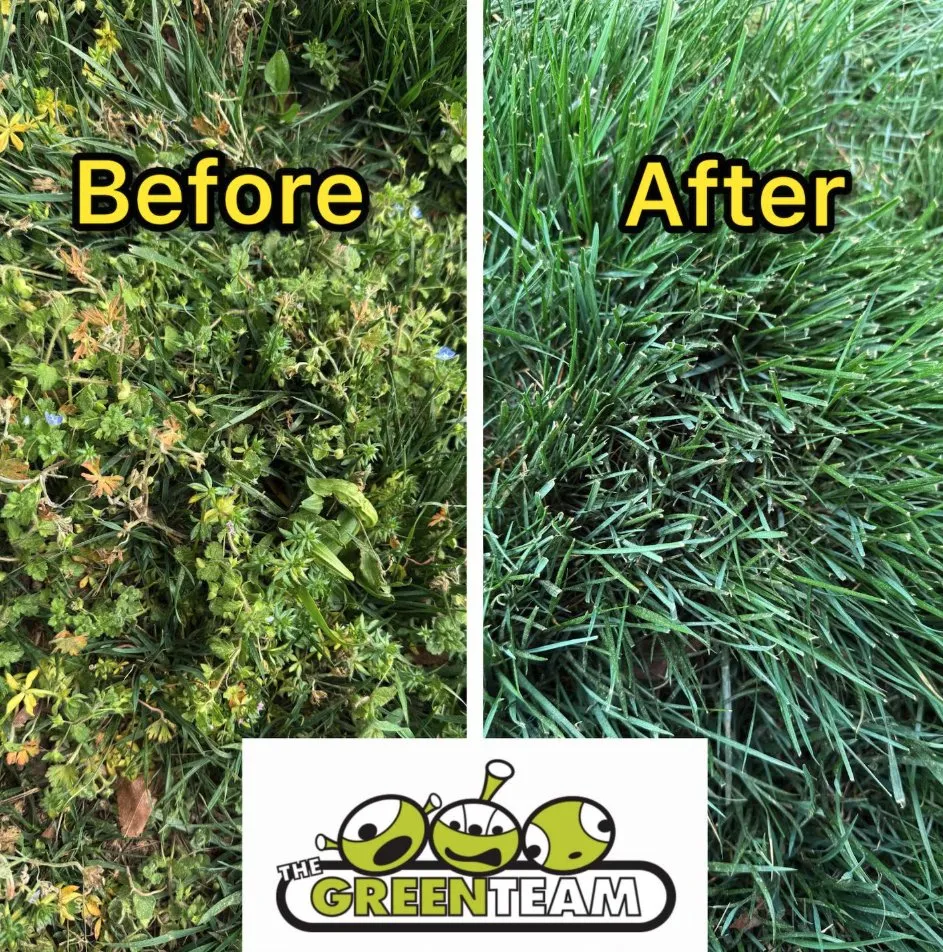 Custom landscape installation experts serving Roanoke, VA - The Green Team