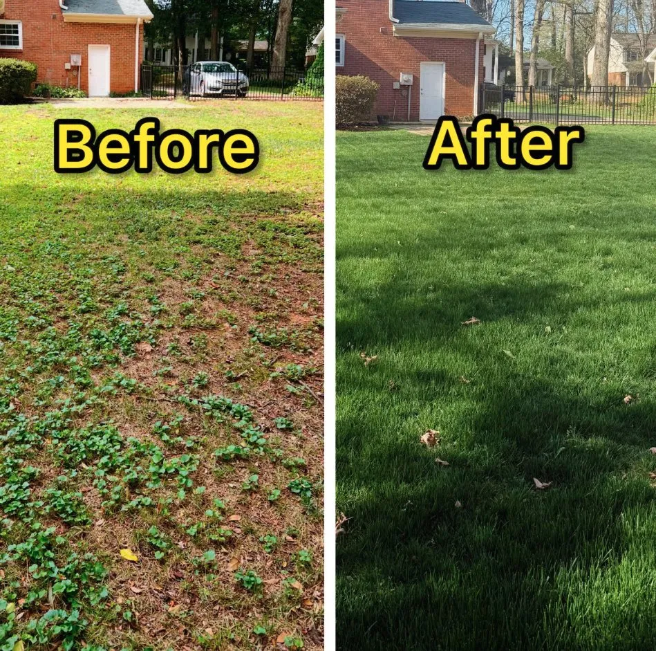 Top-rated landscape installation in Roanoke, VA - The Green Team