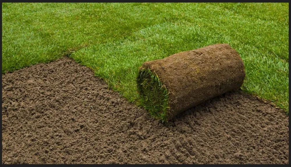 Affordable lawn mowing service for beautiful yards in San Antonio, TX by The Green Team