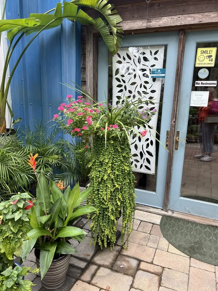 Local outdoor landscaping in Bluffton, SC by The Green Thumb