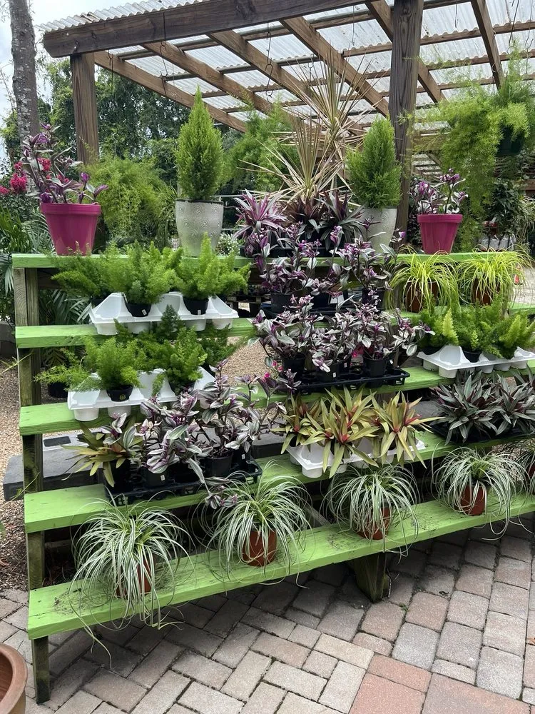 Affordable yard cleanup service for beautiful yards in Bluffton, SC by The Green Thumb