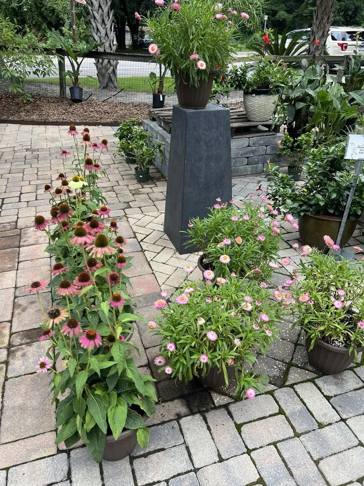 Local residential landscaping for beautiful yards across Bluffton, SC - The Green Thumb