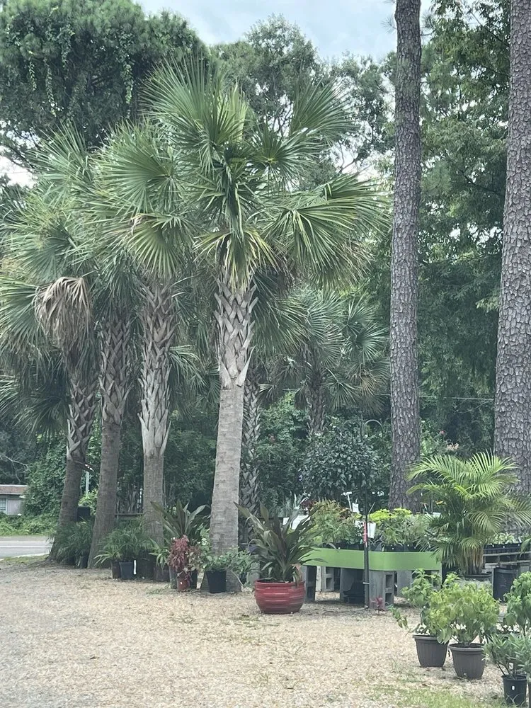 Expert garden landscaping for beautiful yards in Bluffton, SC by The Green Thumb