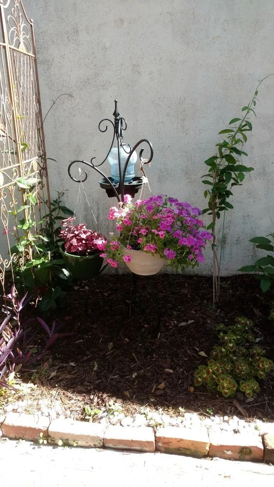 Reliable residential landscaping in Hilton Head, SC - The Green Thumb