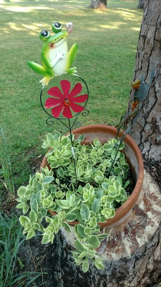 Expert landscape design in Hilton Head, SC - The Green Thumb